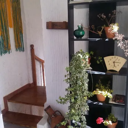 Marina Guest house Jerez de la Frontera